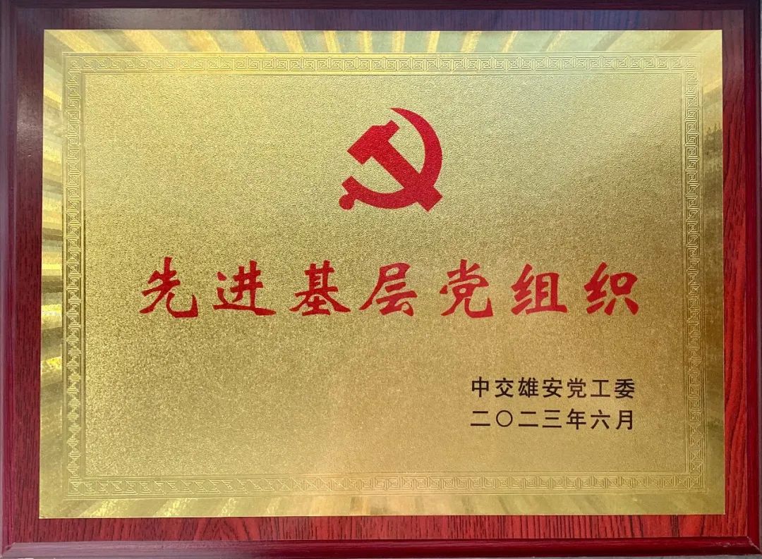（6）先进基层党组织